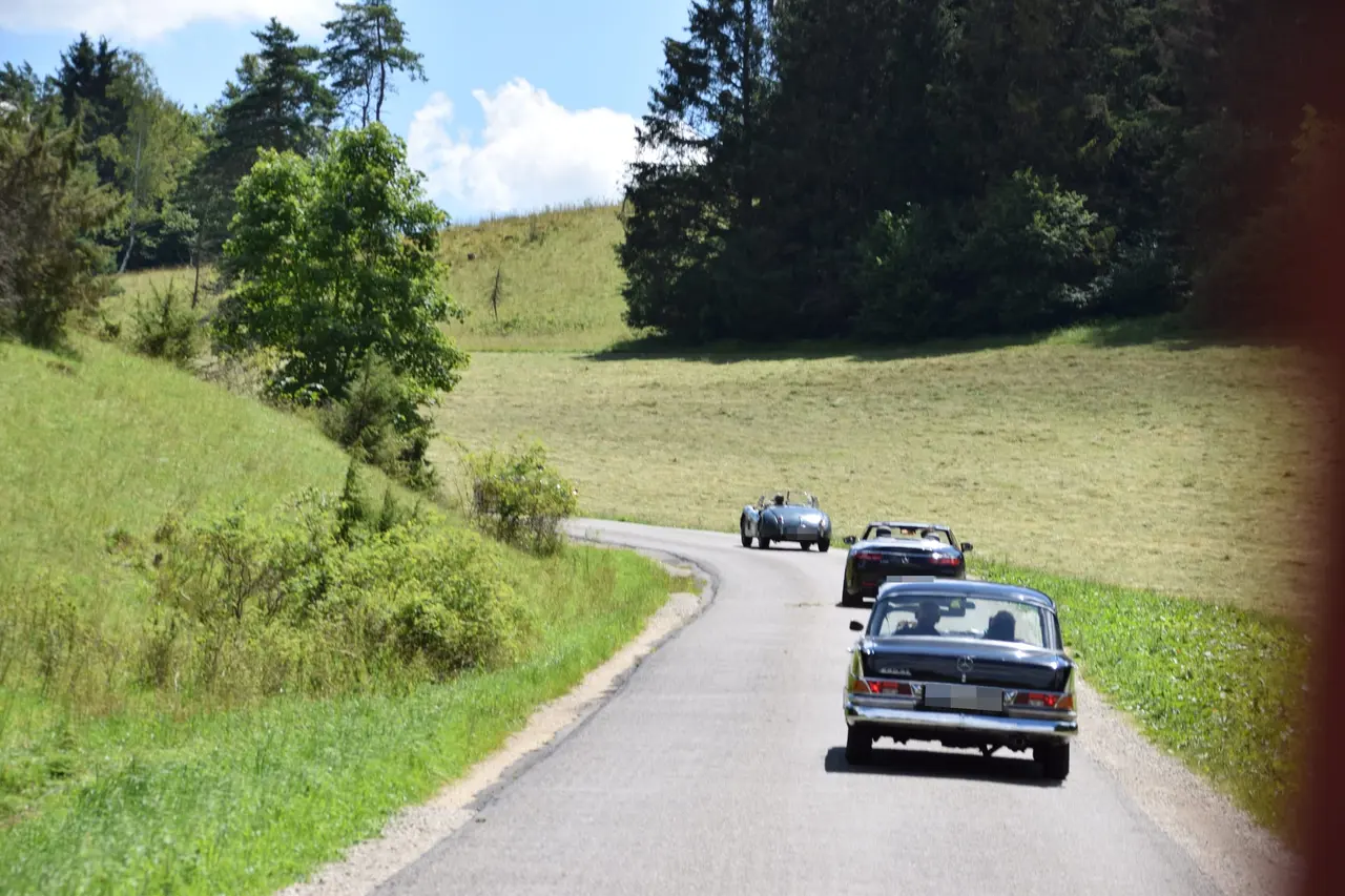 Drei Oldtimer auf einer kurvigen Straße durch die Wiesen der Schwäbischen Alb