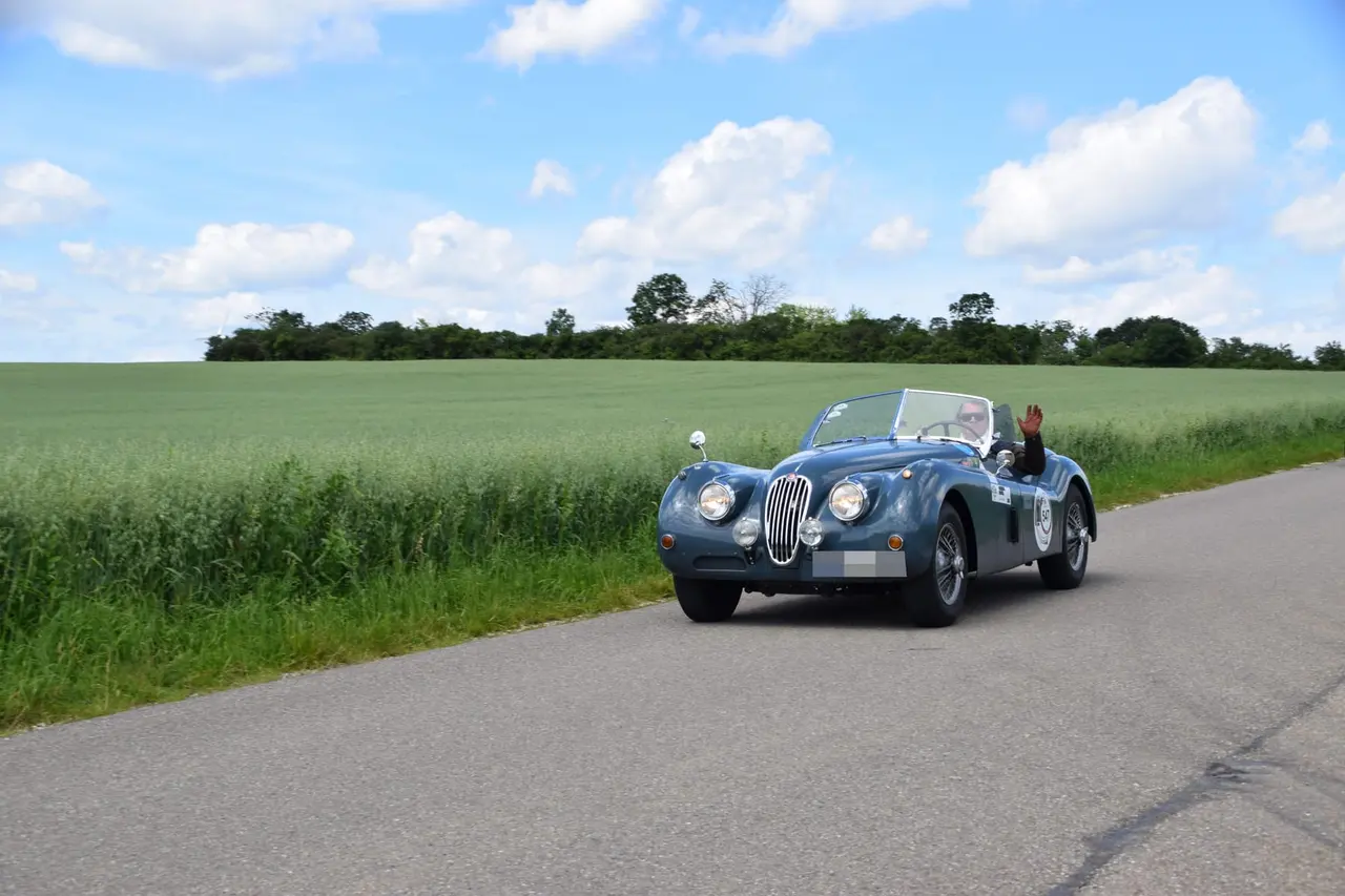 Jaguar XK zwischen Feldern